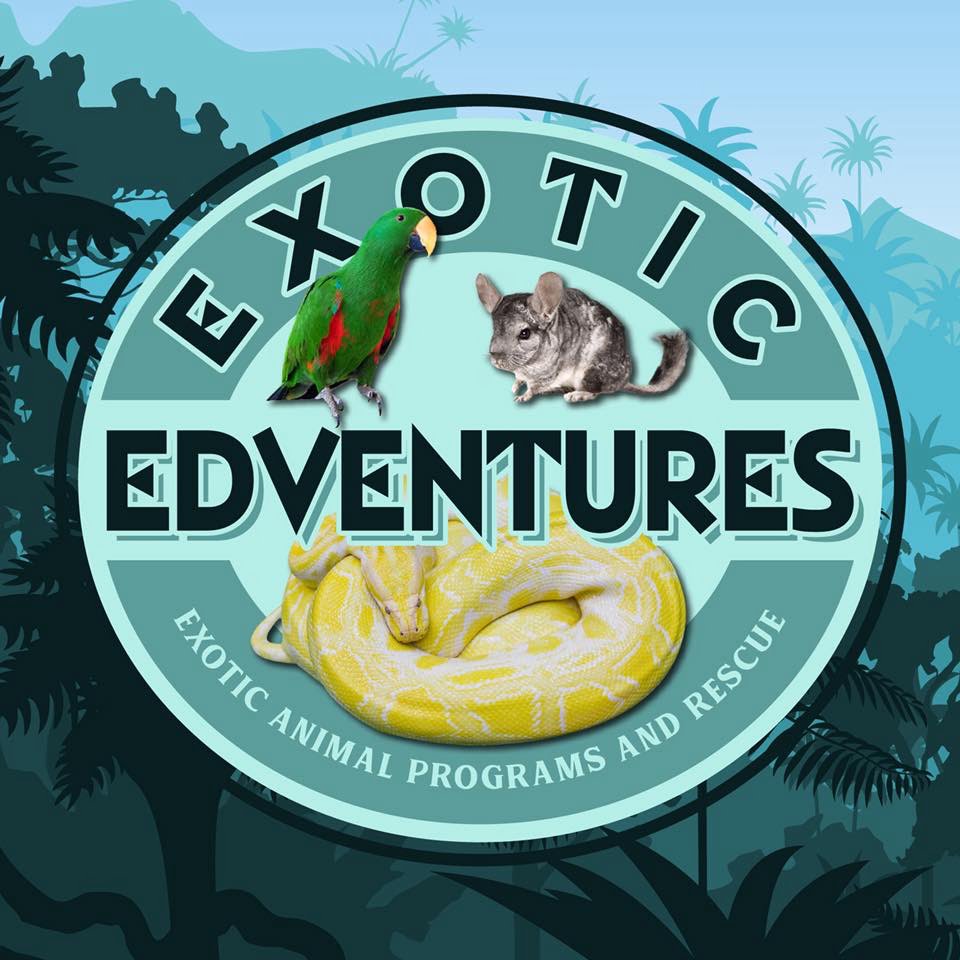 Exotic Edventures
